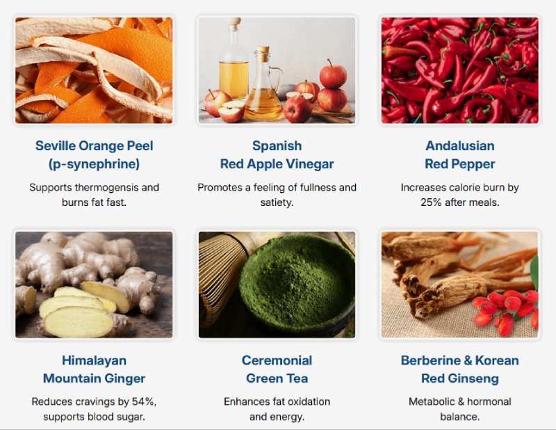 CitrusBurn Ingredients