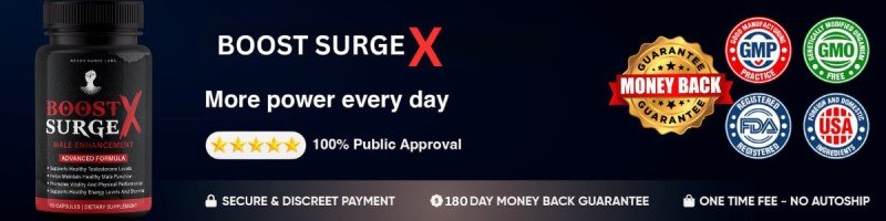 Boost Surge X Secure Order