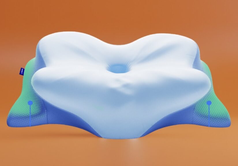 Derila Ergo Pillow Review