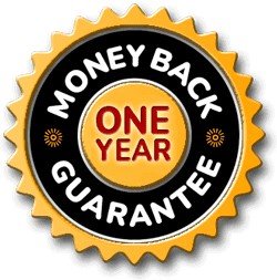 oneYear Guarantee