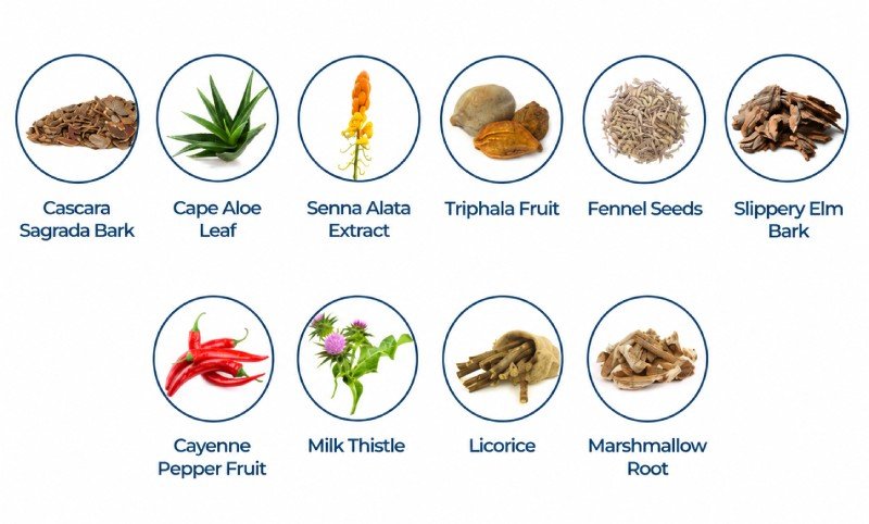 BellyFlush Ingredients