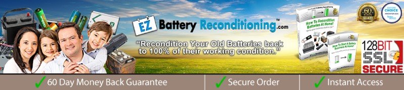 EZ Battery Reconditioning Secure Order