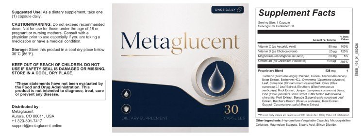 MetaGlucent Supplement Ingredients