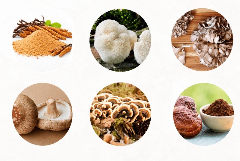 Mindoxa Supplement Ingredients