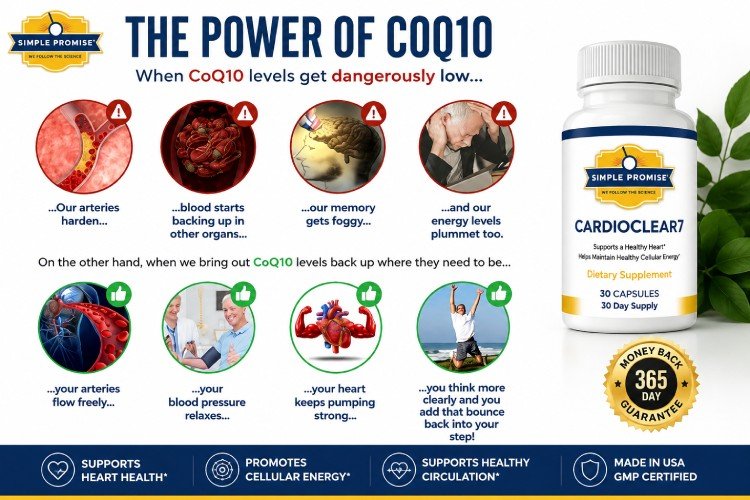 benefits of CoQ10