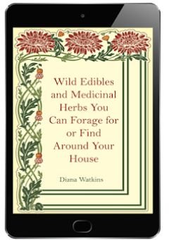 Wild Edible and Medicinal Herbs You Can Forage or Find Around the House