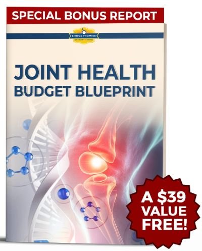 The Joint Health Budget Blueprint